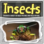 Insects: Discover A Variety Of Insect Pictures And Facts For Kids