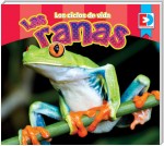 Los ciclos de vida — Las Ranas