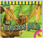 Los insectos palo