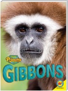 Gibbons