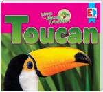 Animals of the Amazon Rainforest: Toucan