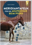 Meridiantafeln für die Akupressur beim Pferd