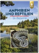 Amphibien und Reptilien in Bayern