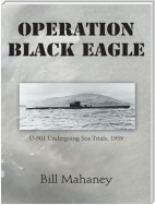 Operation Black Eagle