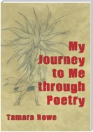 My Journey to Me Through Poetry