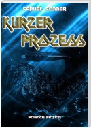 Kurzer Prozess