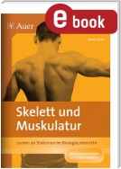 Skelett und Muskulatur