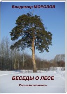 Беседы о лесе. Рассказы лесничего