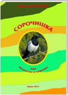 Сорочишка, или Повесть о сороке