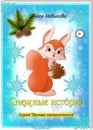 Снежные истории