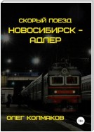 Скорый поезд «Новосибирск – Адлер»