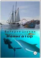 Навигатор