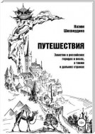 Путешествия. Заметки о российских городах и весях, а также о дальних странах