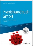 Praxishandbuch GmbH - inkl. Arbeitshilfen online