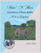 “Hare” ‘n There Adventures of Rosie Rabbit