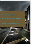 В минуты вдохновения. Сборник стихотворений