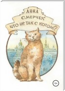 Что не так с котом?