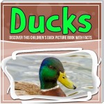 Ducks: Discover This Children's Duck Picture Book With Facts
