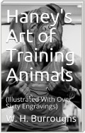 Haney's Art of Training Animals / A Practical Guide For Amateur Or Professional Trainers