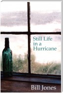 Stil Life in a Hurricane