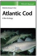 Atlantic Cod