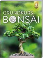 Grundkurs Bonsai