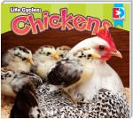 Life Cycles: Chickens