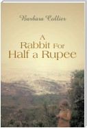 A Rabbit for Half a Rupee