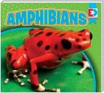 Amphibians