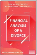 Financial analysis of a divorce