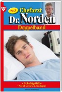 Chefarzt Dr. Norden Doppelband 3 – Arztroman