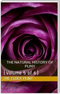 The Natural History of Pliny — Volume 5 of 6