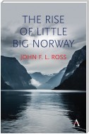 The Rise of Little Big Norway