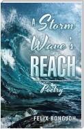 A Storm Wave's Reach
