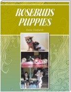 Rosebuds Puppies
