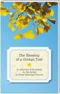 The Blessing of a Ginkgo Tree