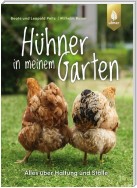 Hühner in meinem Garten