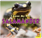 Salamander