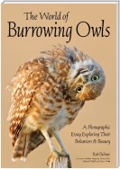 The World of Burrowing Owls