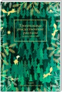 Трогательные рождественские рассказы русских писателей