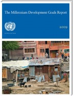 The Millennium Development Goals Report: 2009