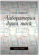 Лаборатория души моей. Сборник стихов