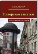 Питерские заметки. Или провинциал в столице