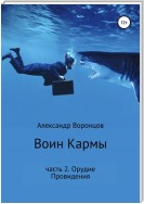 Воин Кармы. Часть 2. Орудие Провидения