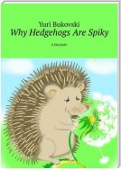 Why Hedgehogs Are Spiky. A fairytale