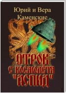 Отрок с космолёта «Аспид»