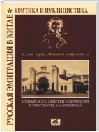«…сын Музы, Аполлонов избранник…». Статьи, эссе, заметки о личности и творчестве А. С. Пушкина