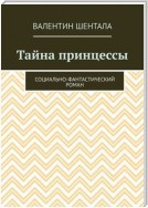 Тайна принцессы. Социально-фантастический роман