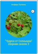 Чудеса от Солнышка. Сборник сказок 3