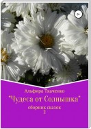 Чудеса от Солнышка. Сборник сказок 2